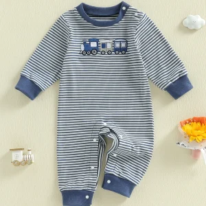 Toddler Boys Fall Playsuit
